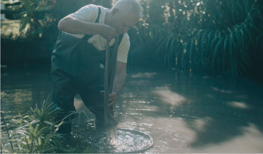 Mud Dyeing